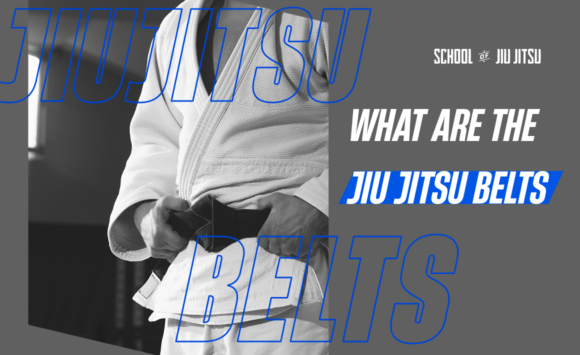 What are the Brazilian Jiu Jitsu belts?