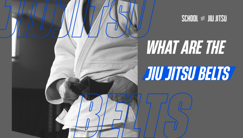 What are the Brazilian Jiu Jitsu belts?